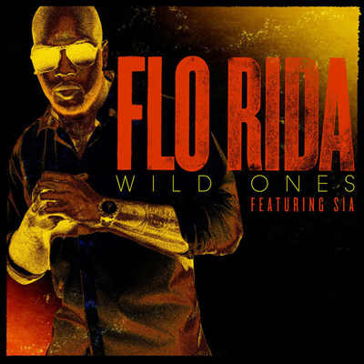 Wild Ones (song)